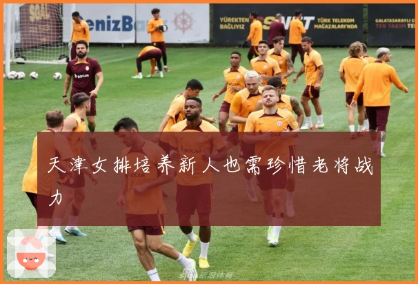 天津女排培养新人也需珍惜老将战力