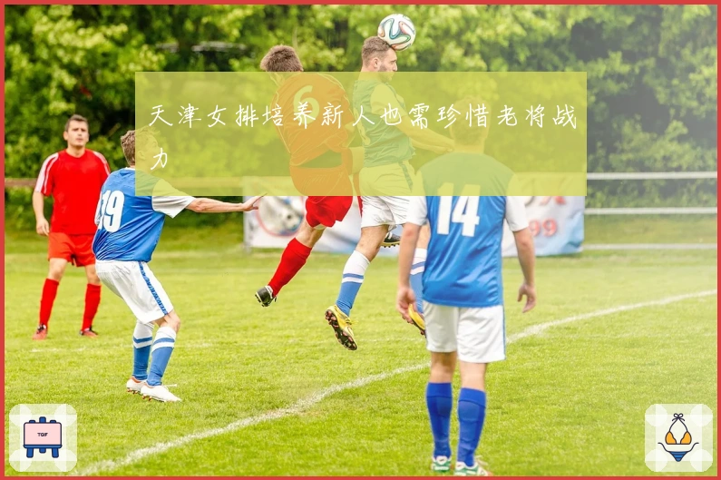 天津女排培养新人也需珍惜老将战力
